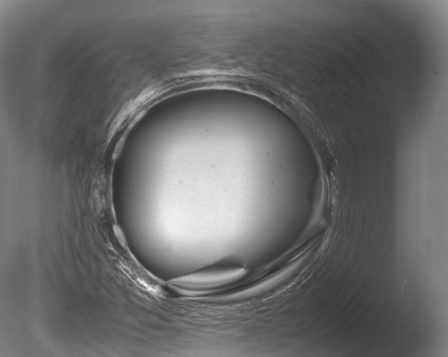 X0000086011357200703231201