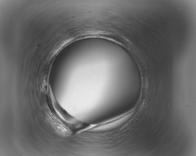 X0000086011361200703231200