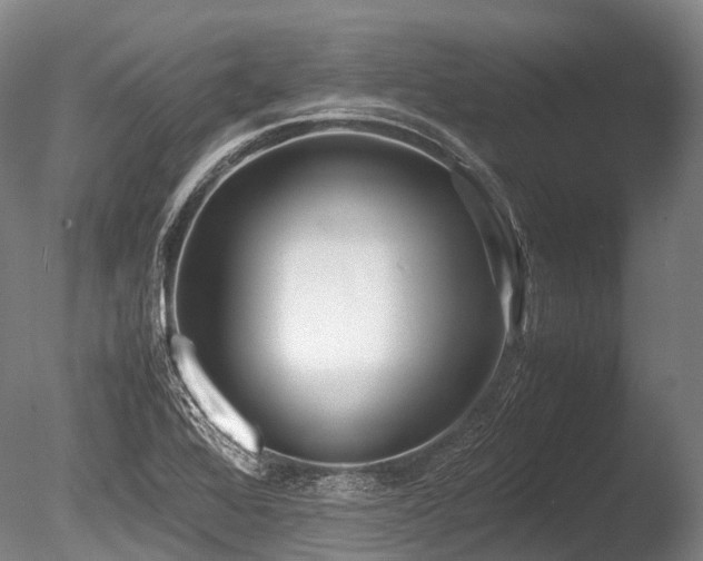 X0000086011368200703231200