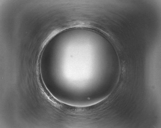 X0000086011375200703231200