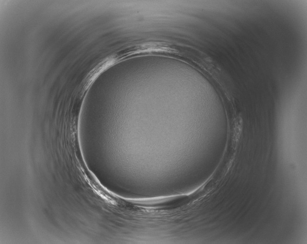 X0000086011377200703231200