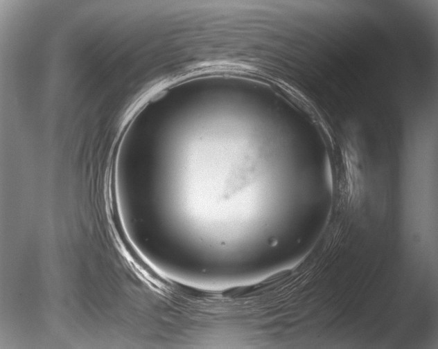 X0000086011391200703231200