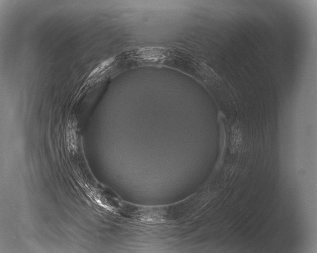 X0000086011394200703231159