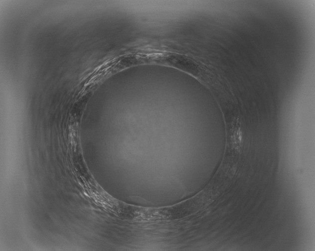 X0000086011397200703231159