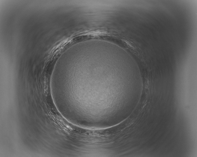 X0000086011398200703231159