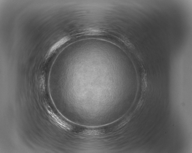 X0000086011402200703231159