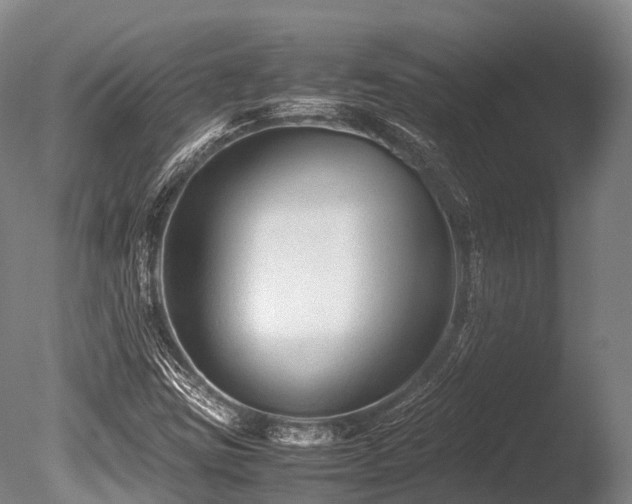 X0000086011403200703231159