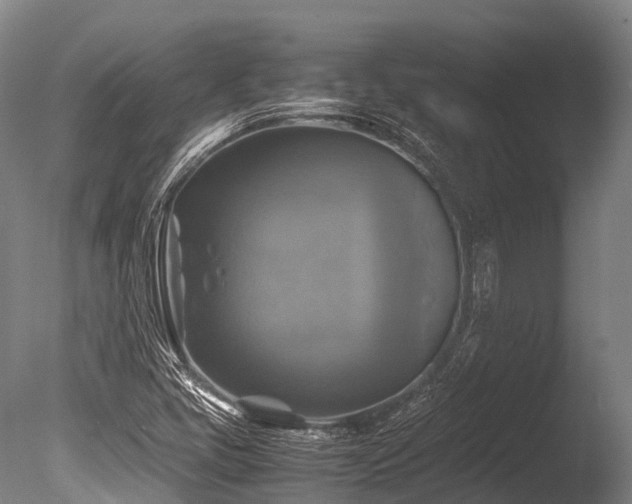 X0000086011405200703231159