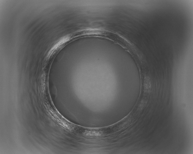 X0000086011411200703231159