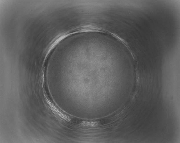 X0000086011415200703231159