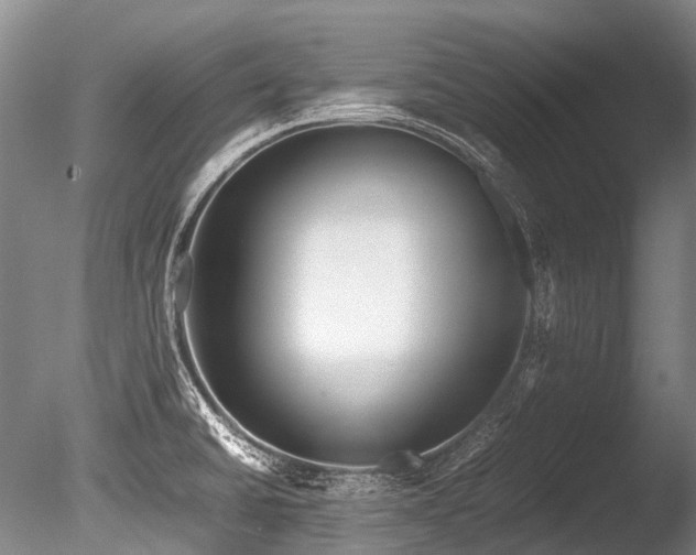 X0000086011430200703231200