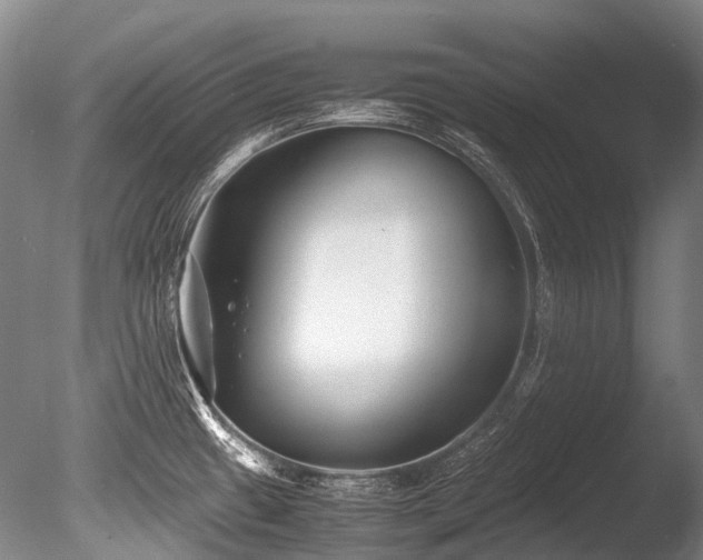 X0000086011433200703231200