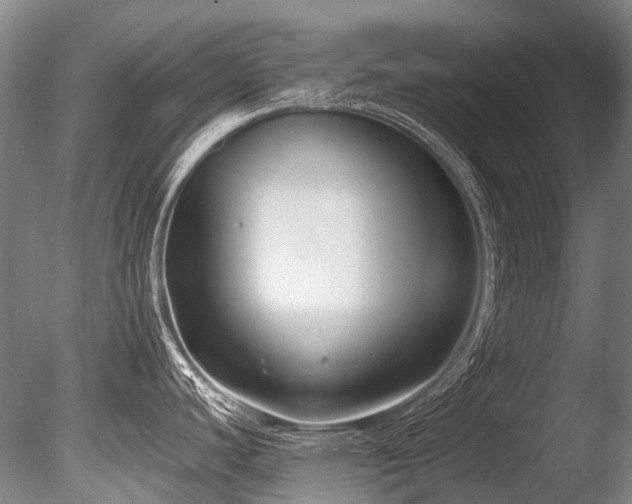 X0000086011440200703231200