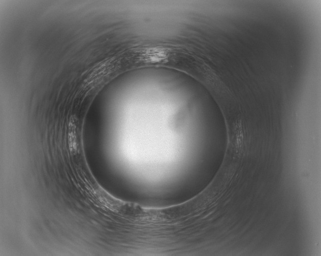 X0000086011442200703231159