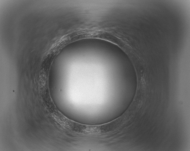 X0000086011447200703231159