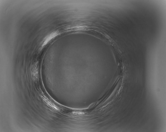 X0000086011450200703231159