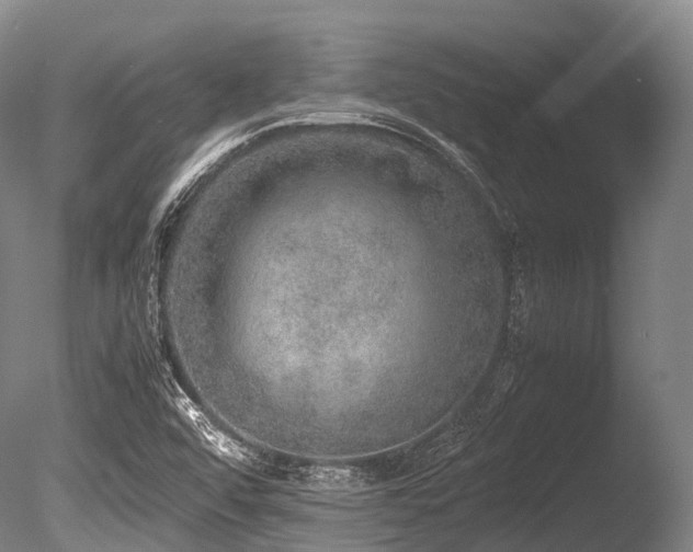 X0000086011456200703231159