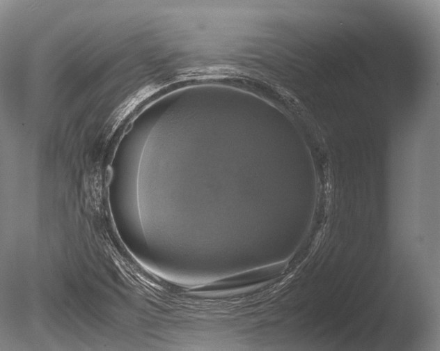 X0000086011457200703231159