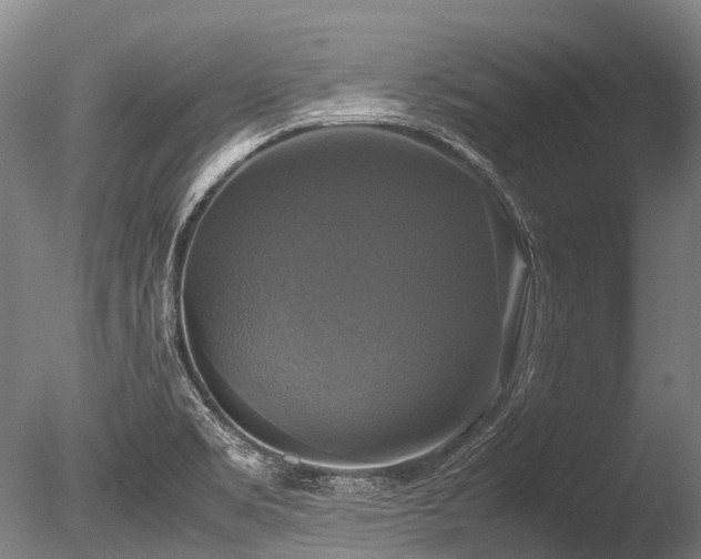 X0000086011469200703231158