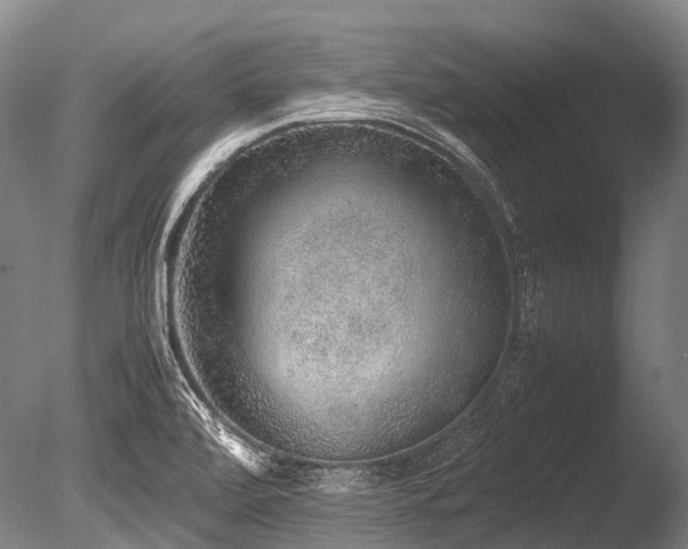 X0000086011472200703231158