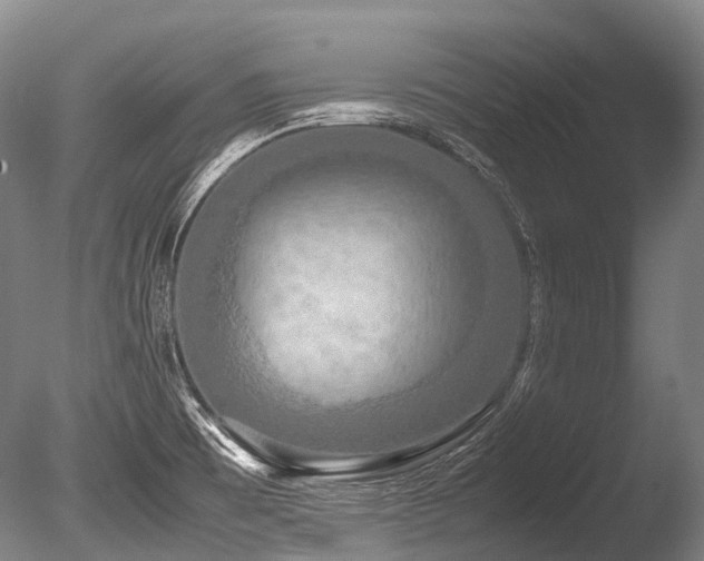 X0000086011473200703231158