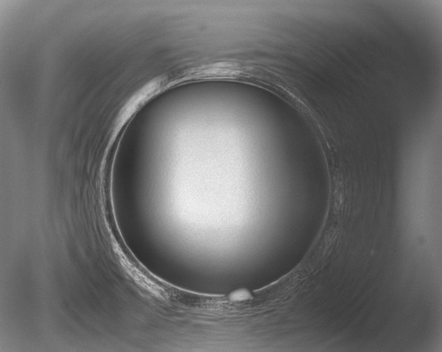 X0000086011475200703231158