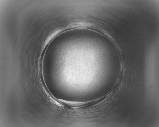X0000086011477200703231158