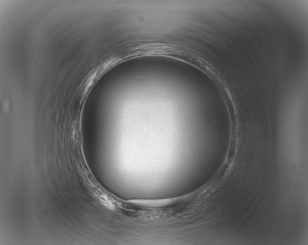 X0000086011481200703231158