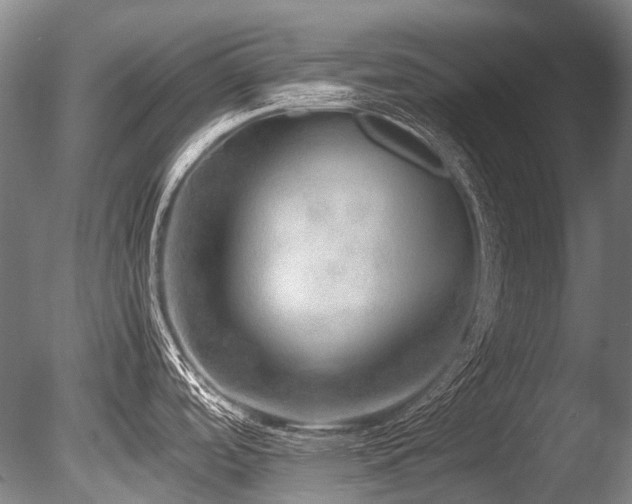 X0000086011488200703231158