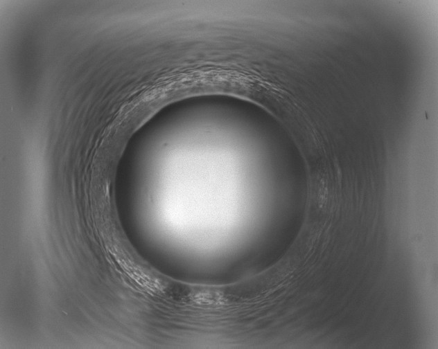 X0000086011489200703231157