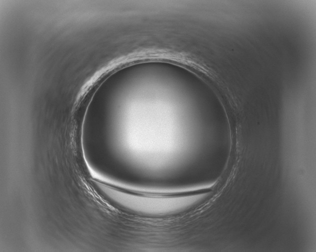 X0000086011502200703231158