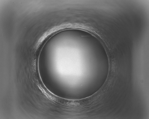 X0000086011503200703231158