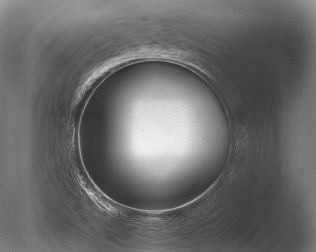 X0000086011507200703231158