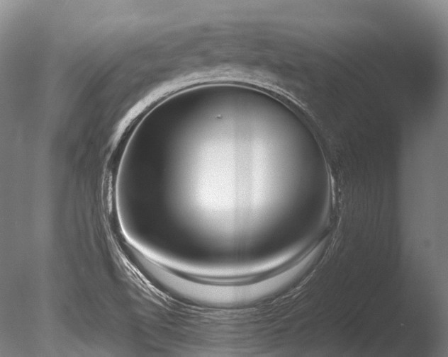 X0000086011510200703231158