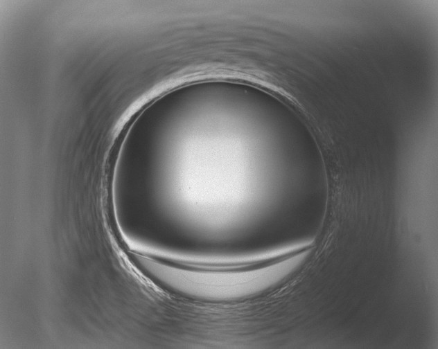 X0000086011518200703231158