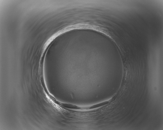 X0000086011527200703231158