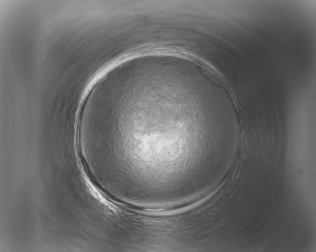 X0000086011528200703231158