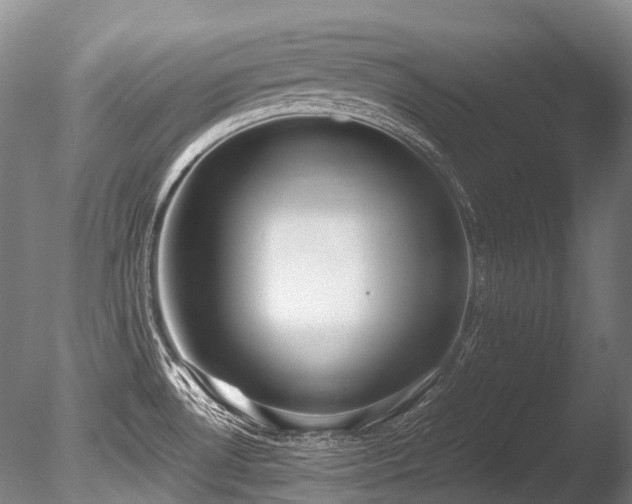 X0000086011530200703231158