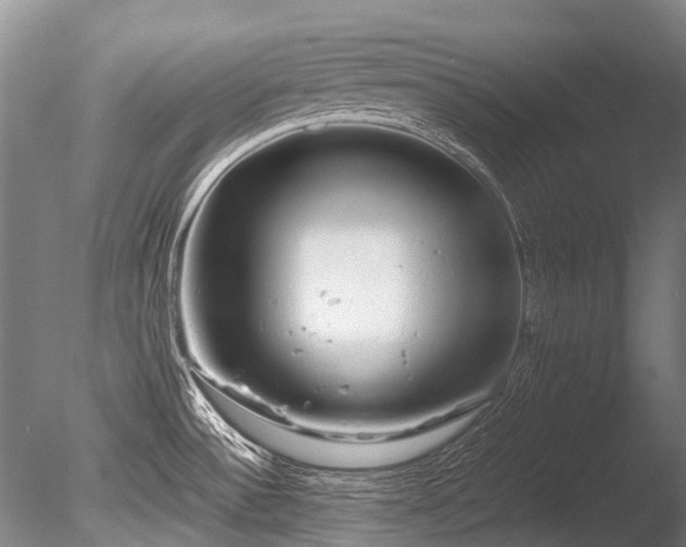 X0000086011532200703231158