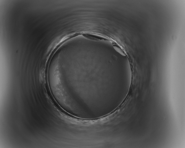 X0000086010002200703301020