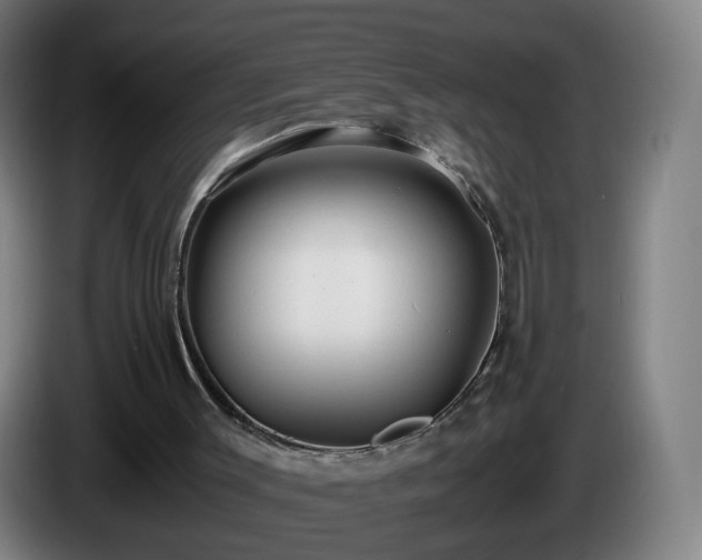 X0000086010003200703301020