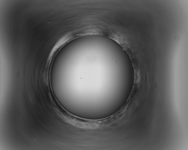 X0000086010004200703301020