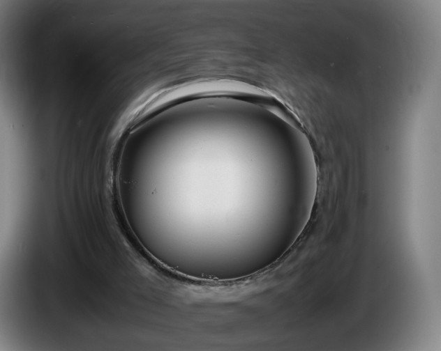 X0000086010005200703301020