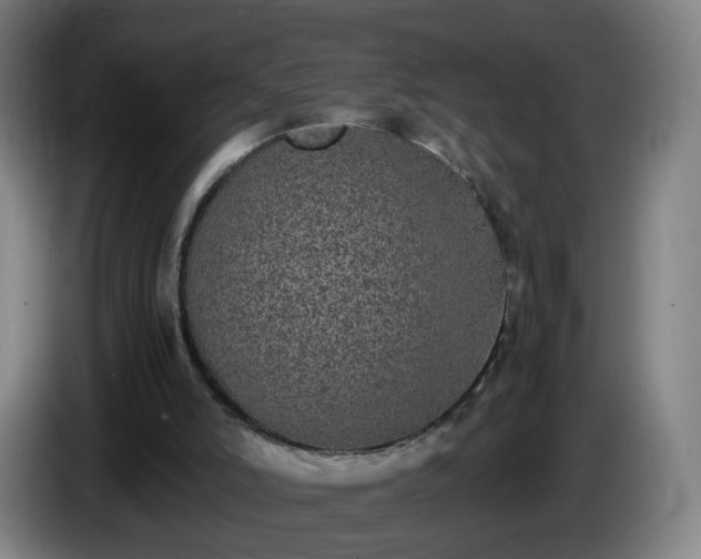 X0000086010006200703301020