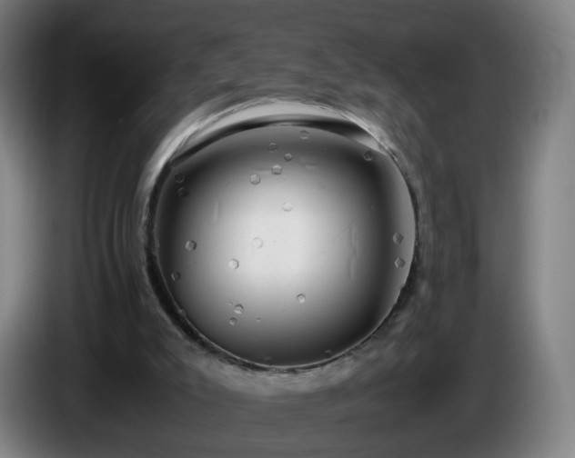 X0000086010007200703301020