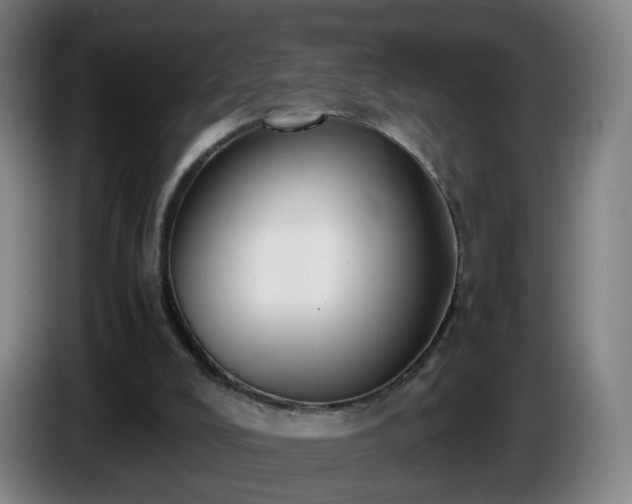 X0000086010008200703301020