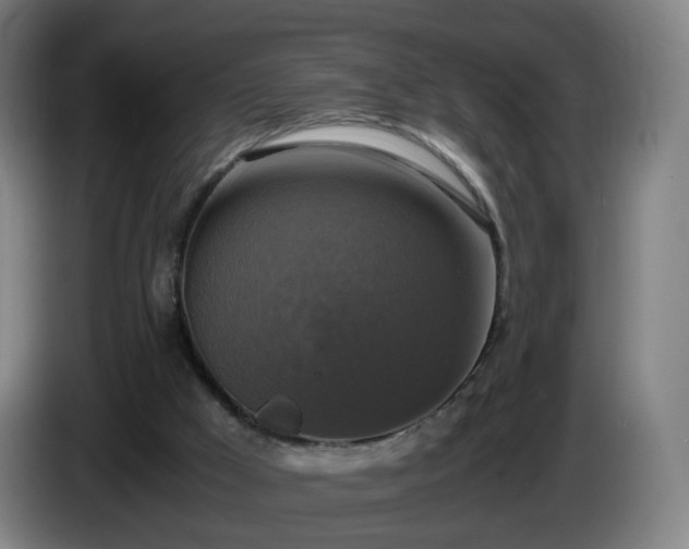 X0000086010009200703301020
