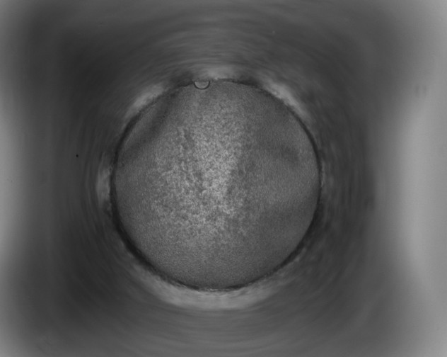 X0000086010010200703301020