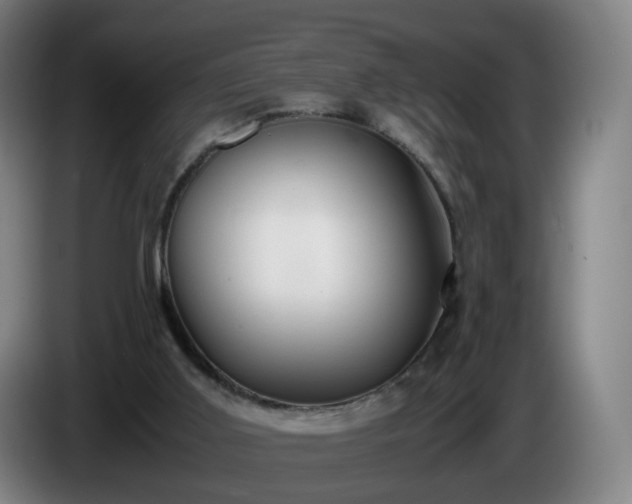 X0000086010011200703301020