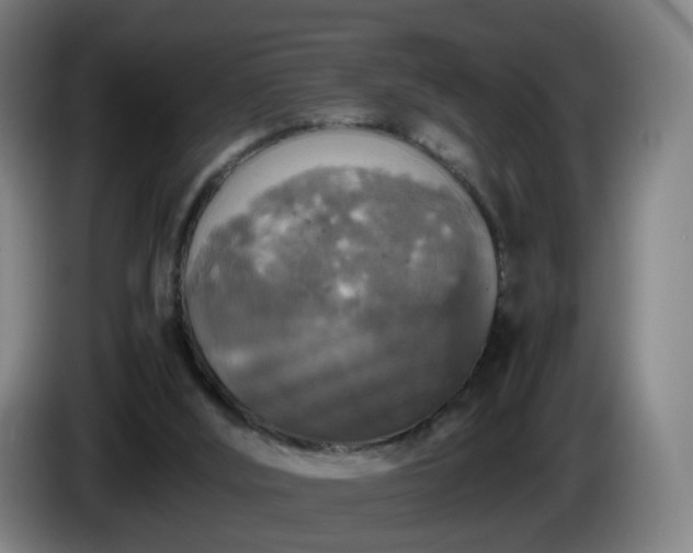 X0000086010012200703301020